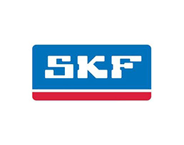 SKF-CHICAGO RAWHIDE