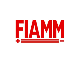 Fiamm Horns & Access