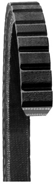    Accessory Drive Belt DY 11275