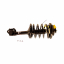    Suspension Strut and Coil Spring Assembly KY SR4168