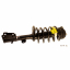    Suspension Strut and Coil Spring Assembly KY SR4176