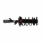    Suspension Strut and Coil Spring Assembly KY SR4223