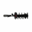    Suspension Strut and Coil Spring Assembly KY SR4224