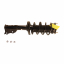    Suspension Strut and Coil Spring Assembly KY SR4242