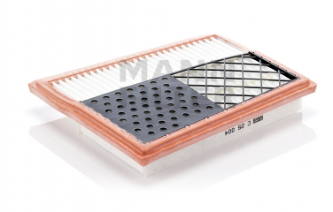    Air Filter M6 C 25 004