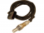    Oxygen Sensor O2 250-24493